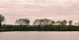 Tigre-Island-Adventure-Day-Tour