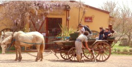 Fiesta-Gaucha-at-Estancia-Don-Silvano