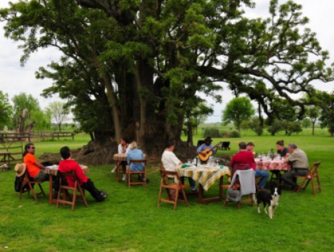 Tour of San Antonio de Areco & Estancia Day 